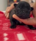 thumb-5 thumb-5