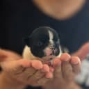 thumb-8 thumb-8