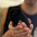 thumb-9 thumb-9